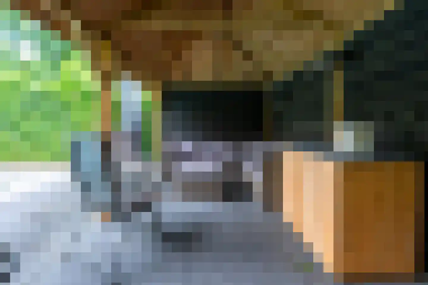 Willem de Zwijgerlaan 5 a Doorn thumbnail 44