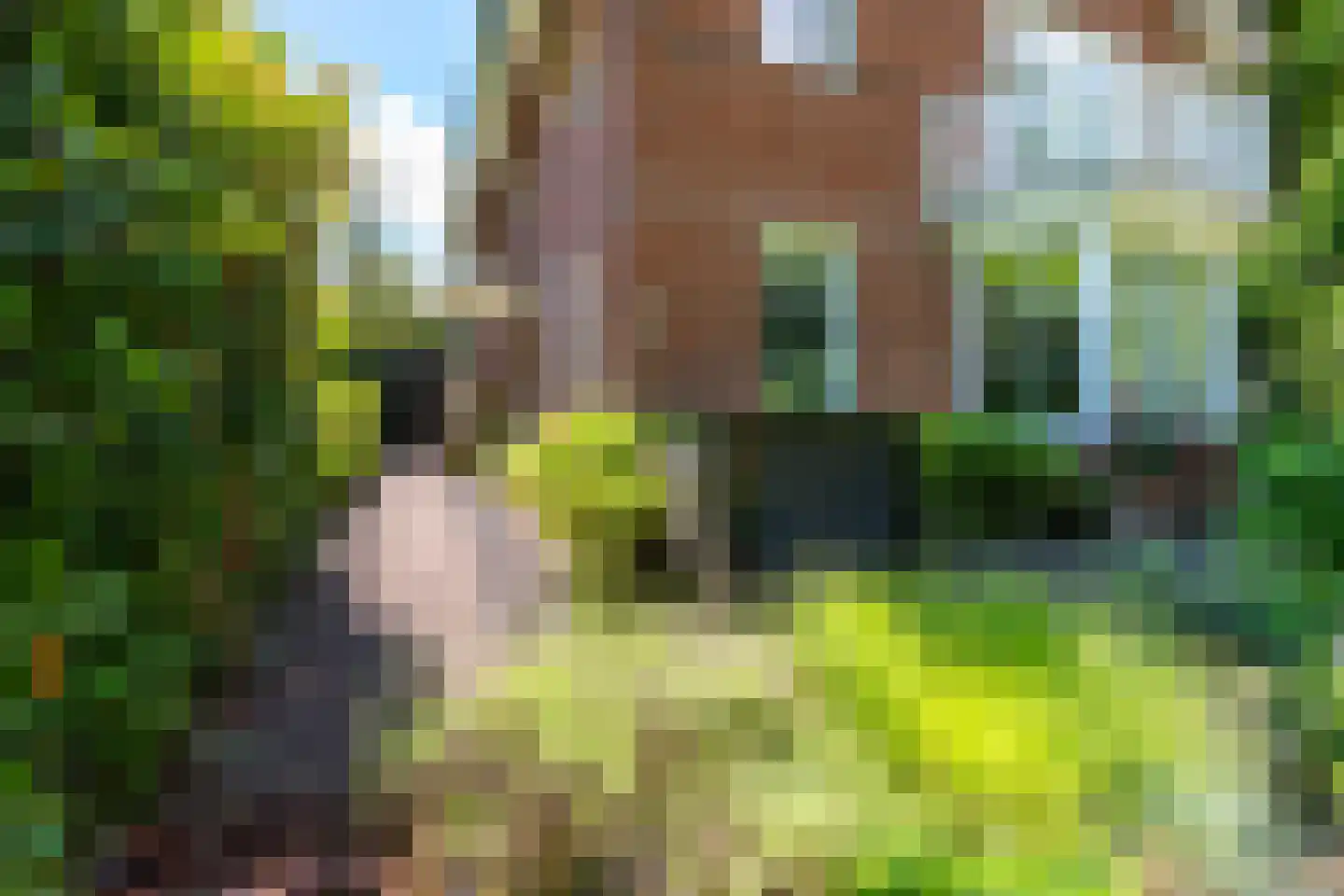 Willem de Zwijgerlaan 5 a Doorn thumbnail 52