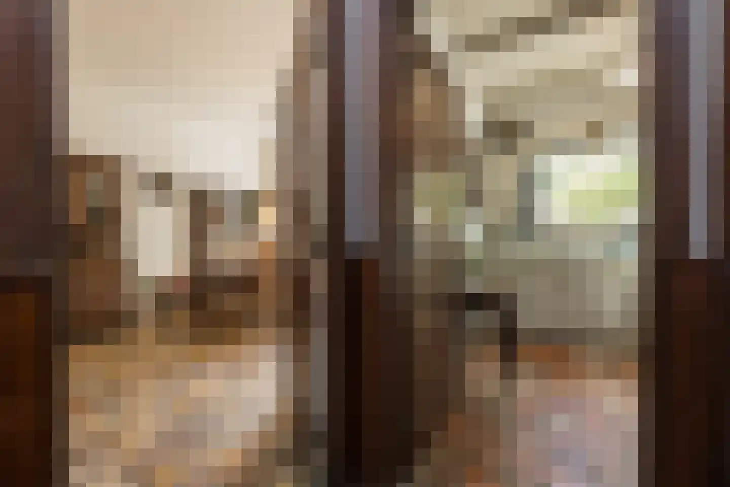 Willem de Zwijgerlaan 5 Oegstgeest thumbnail 16