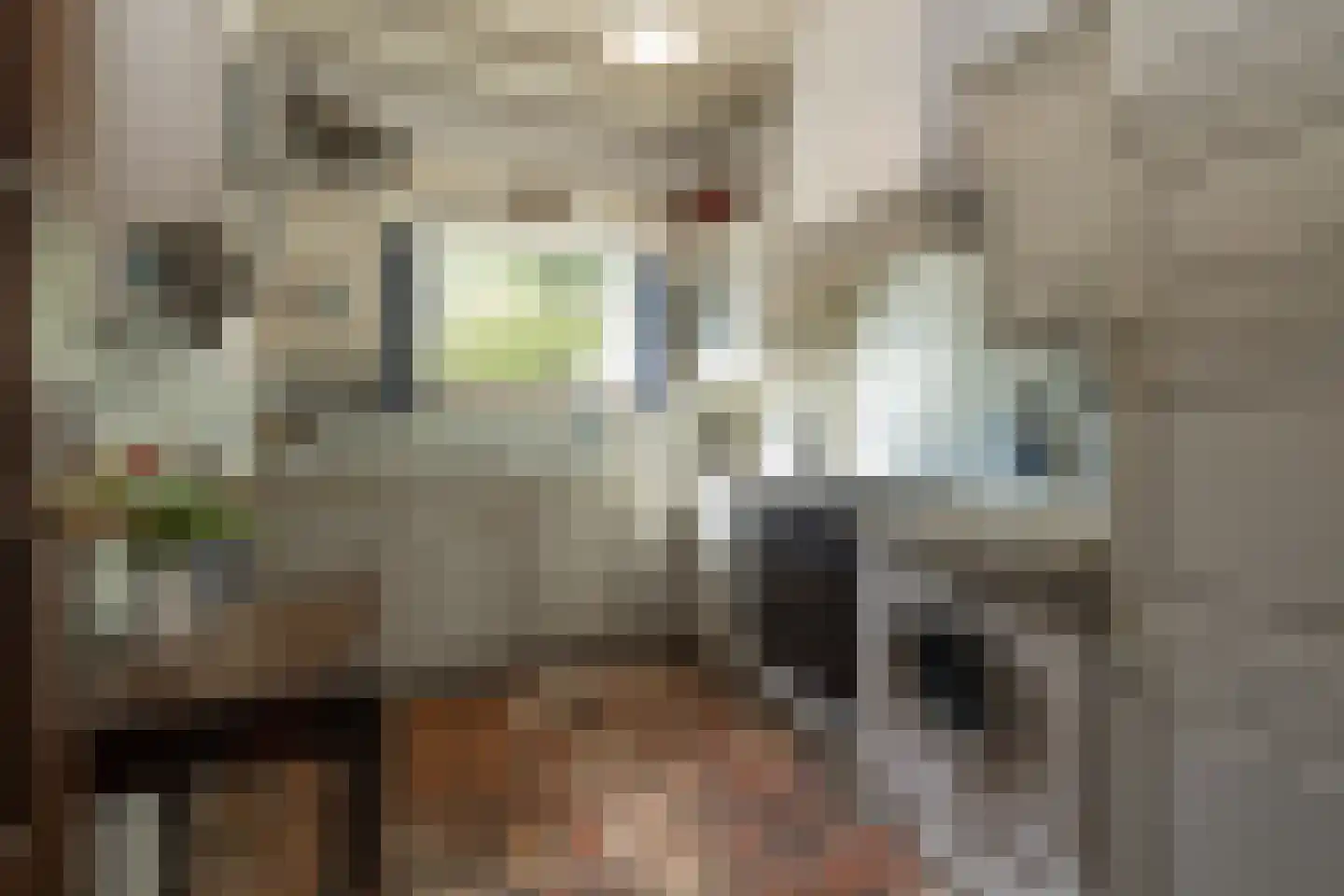 Willem de Zwijgerlaan 5 Oegstgeest thumbnail 17