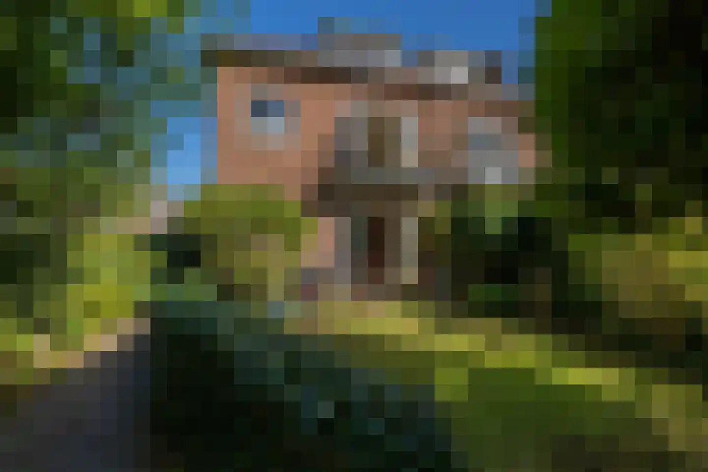 Willem de Zwijgerlaan 5 Oegstgeest thumbnail 28