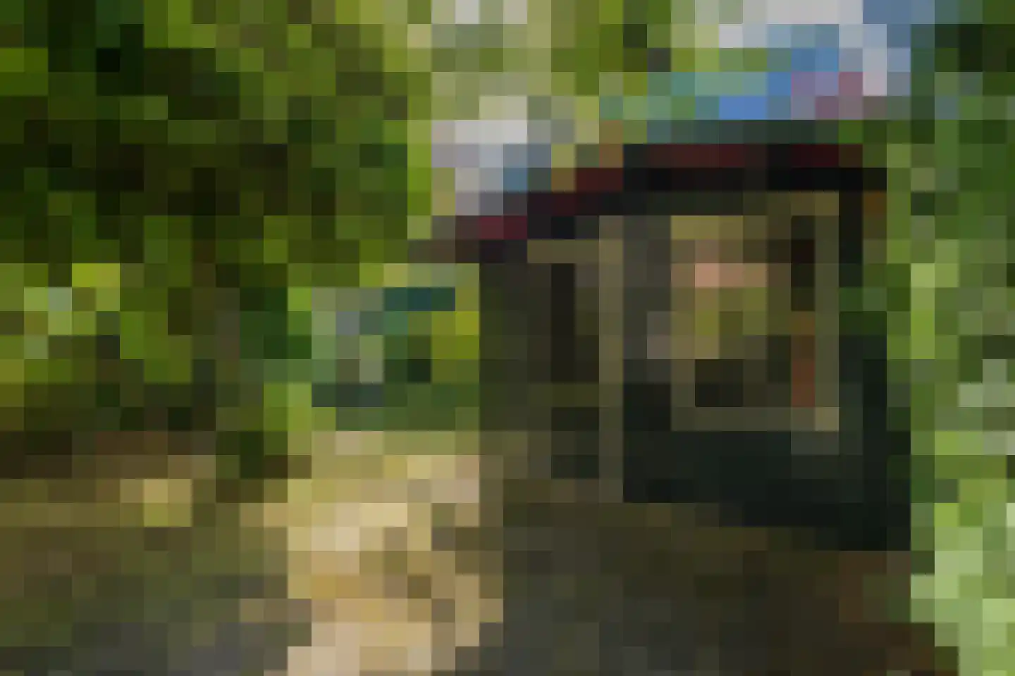 Willem de Zwijgerlaan 5 Oegstgeest thumbnail 29