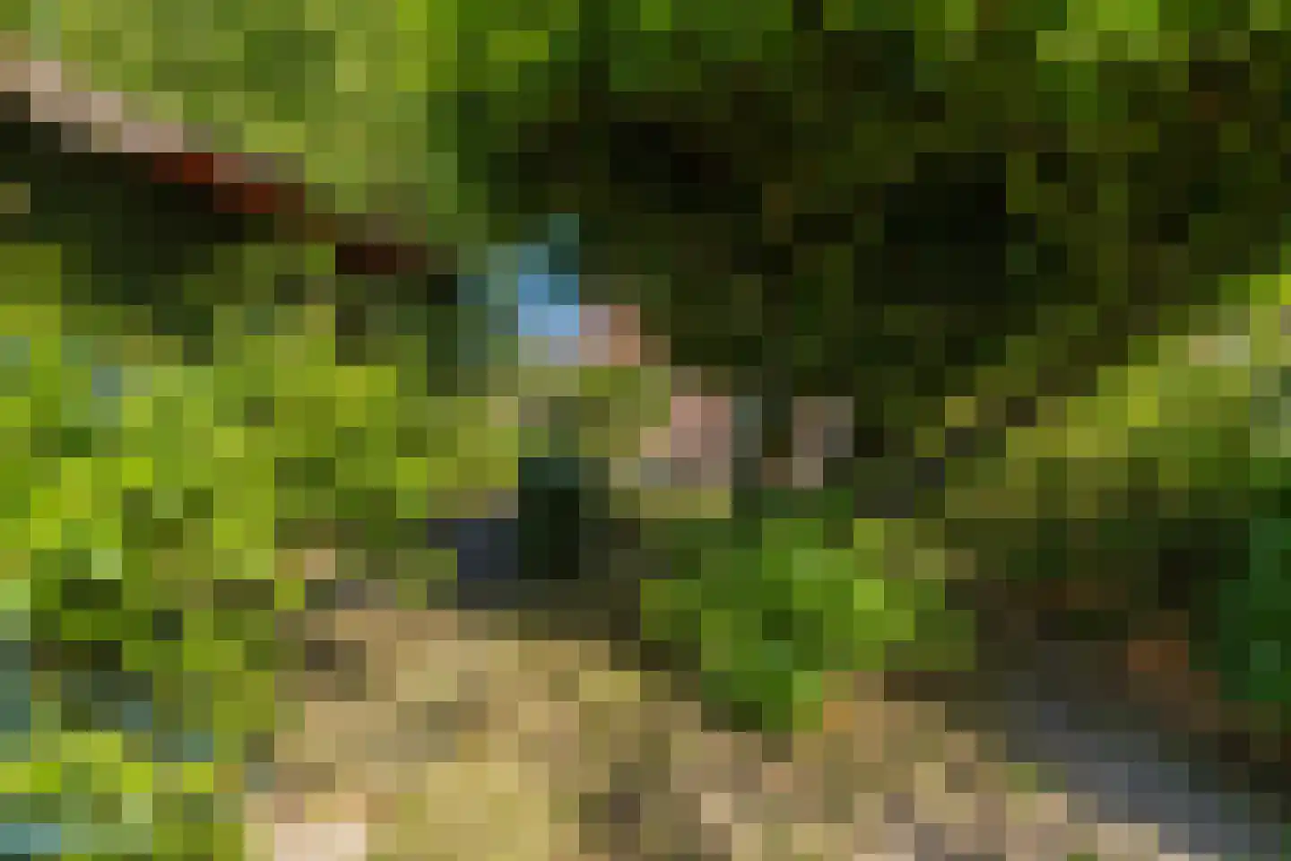 Willem de Zwijgerlaan 5 Oegstgeest thumbnail 30