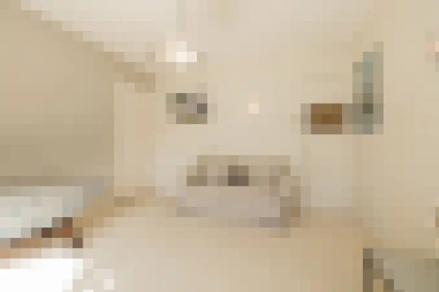 Willem de Zwijgerlaan 5 Oegstgeest thumbnail 37