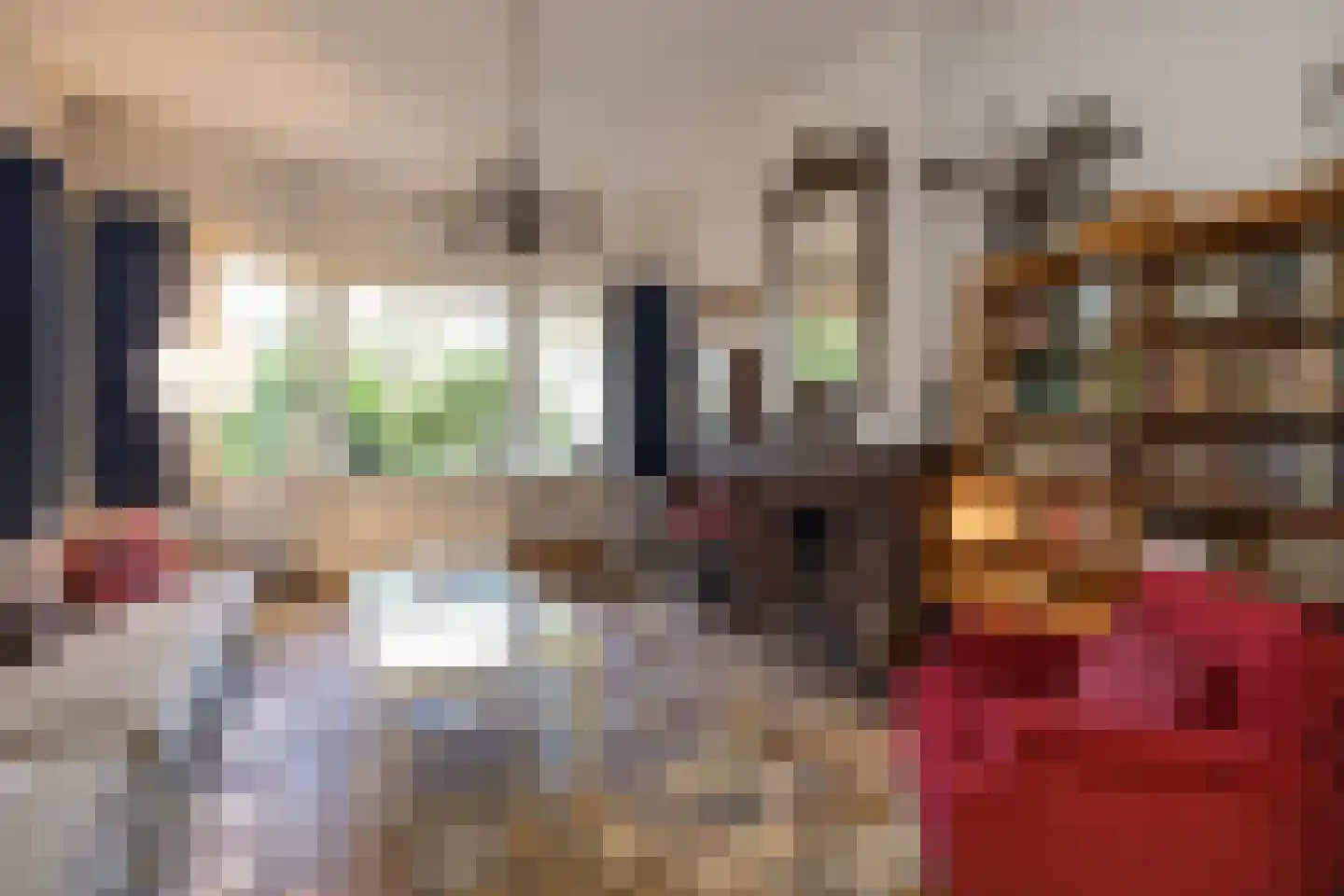 Willem de Zwijgerlaan 5 Oegstgeest thumbnail 4