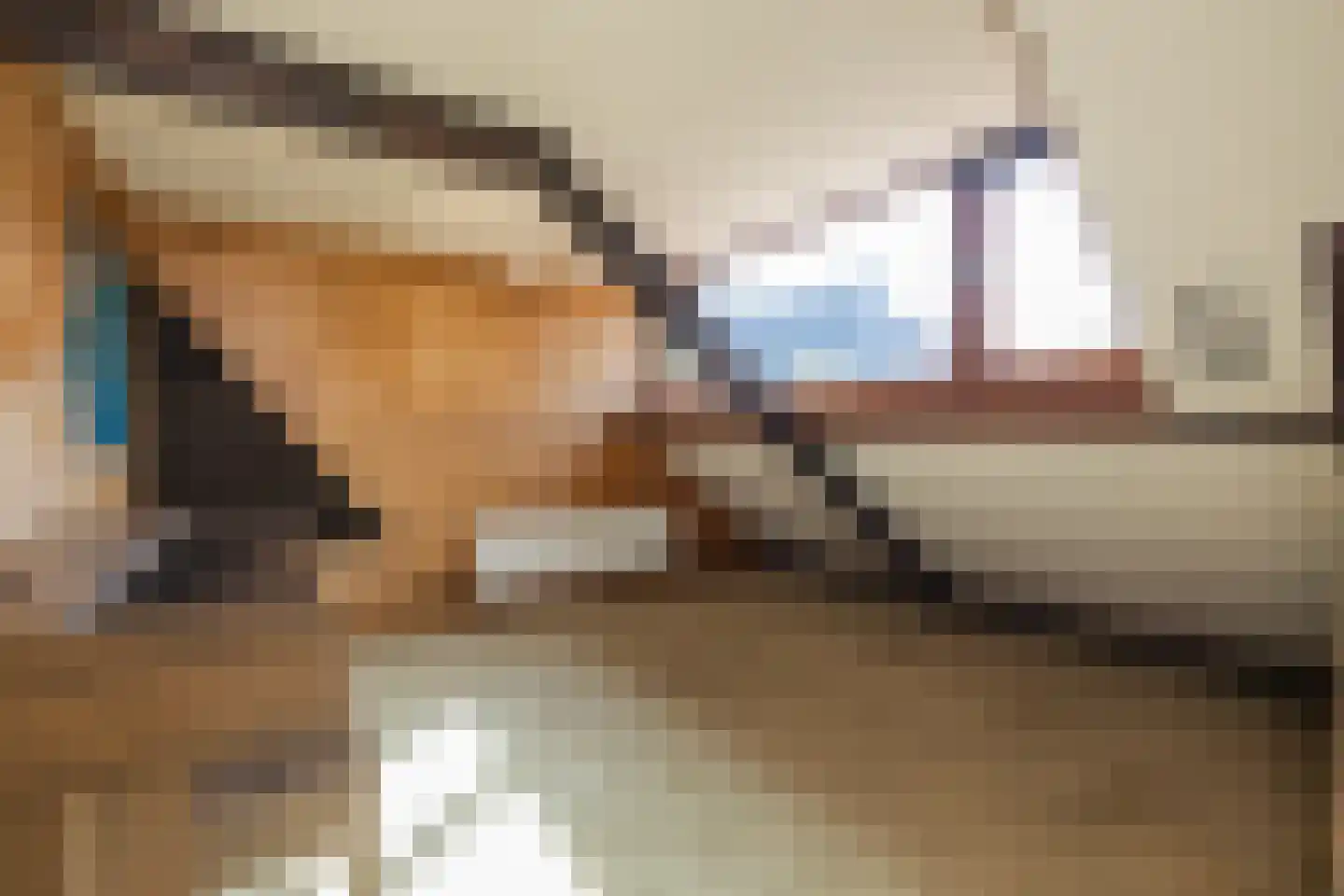 Willem de Zwijgerlaan 5 Oegstgeest thumbnail 43