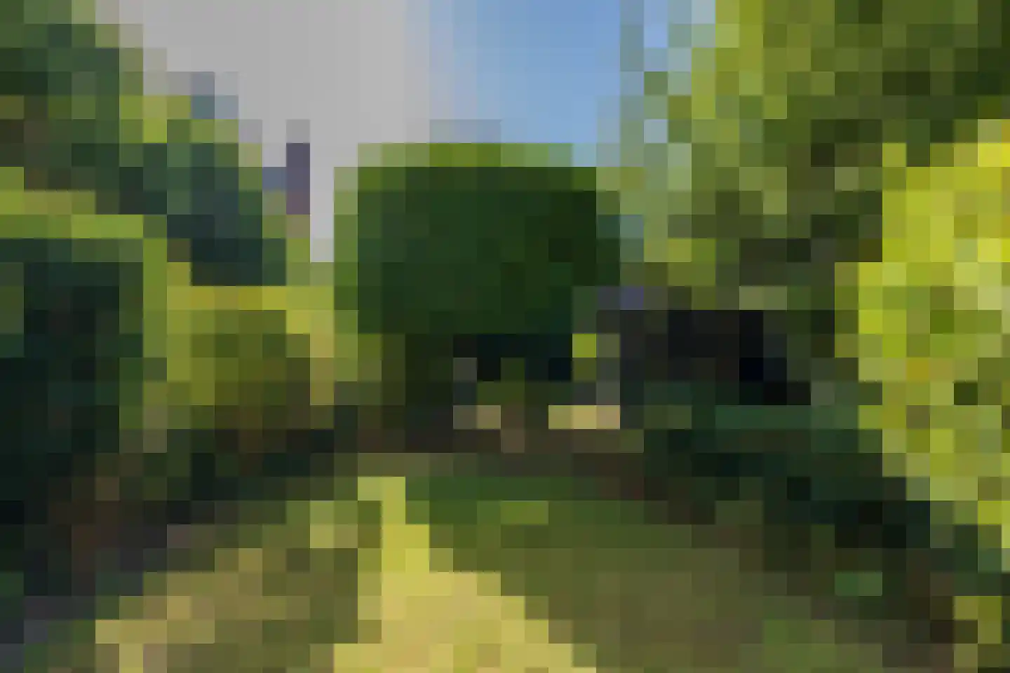 Willem de Zwijgerlaan 5 Oegstgeest thumbnail 8