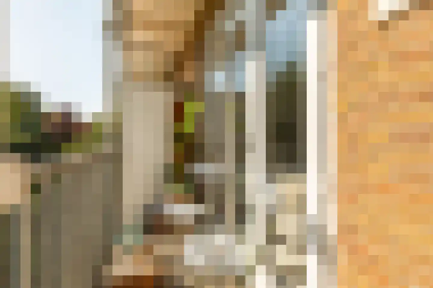 Willem de Zwijgerlaan 50 1 Amsterdam thumbnail 13