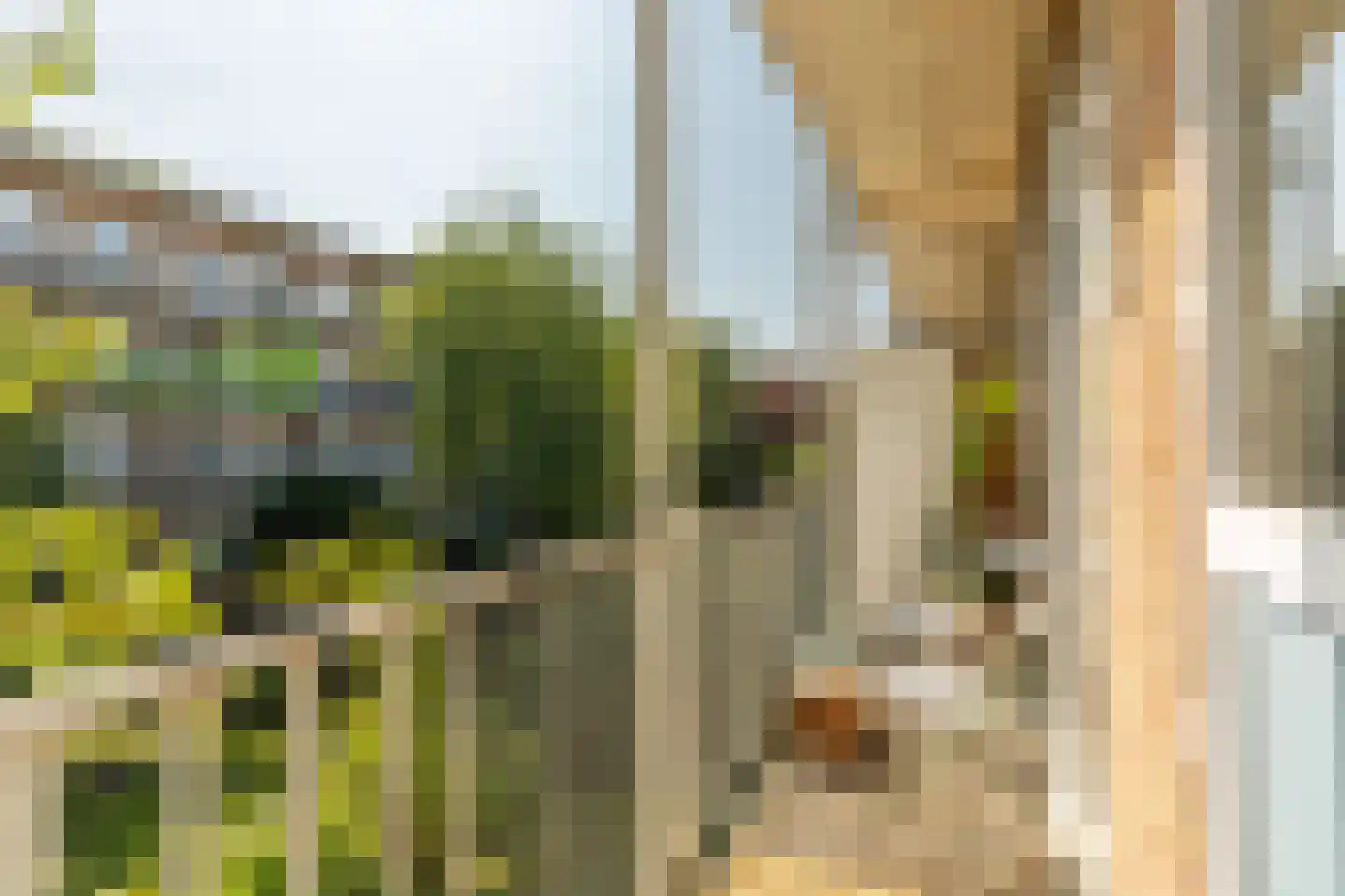 Willem de Zwijgerlaan 50 1 Amsterdam thumbnail 14