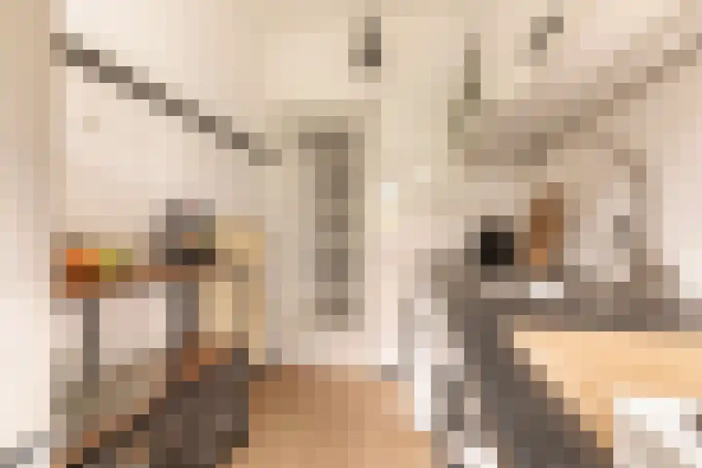 Willem de Zwijgerlaan 50 1 Amsterdam thumbnail 17