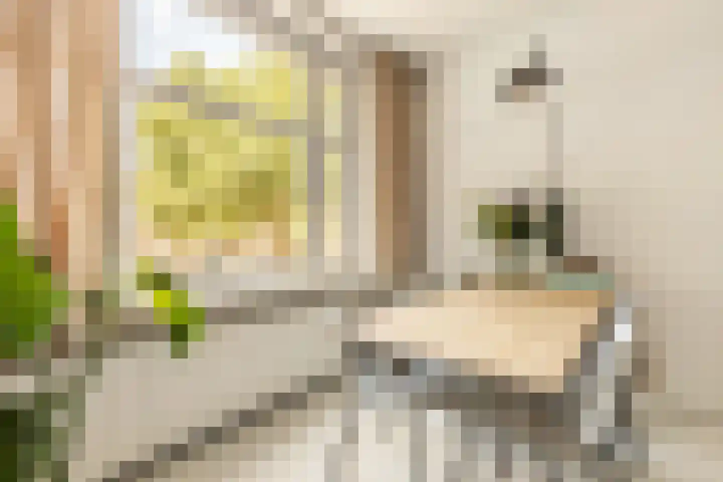 Willem de Zwijgerlaan 50 1 Amsterdam thumbnail 7