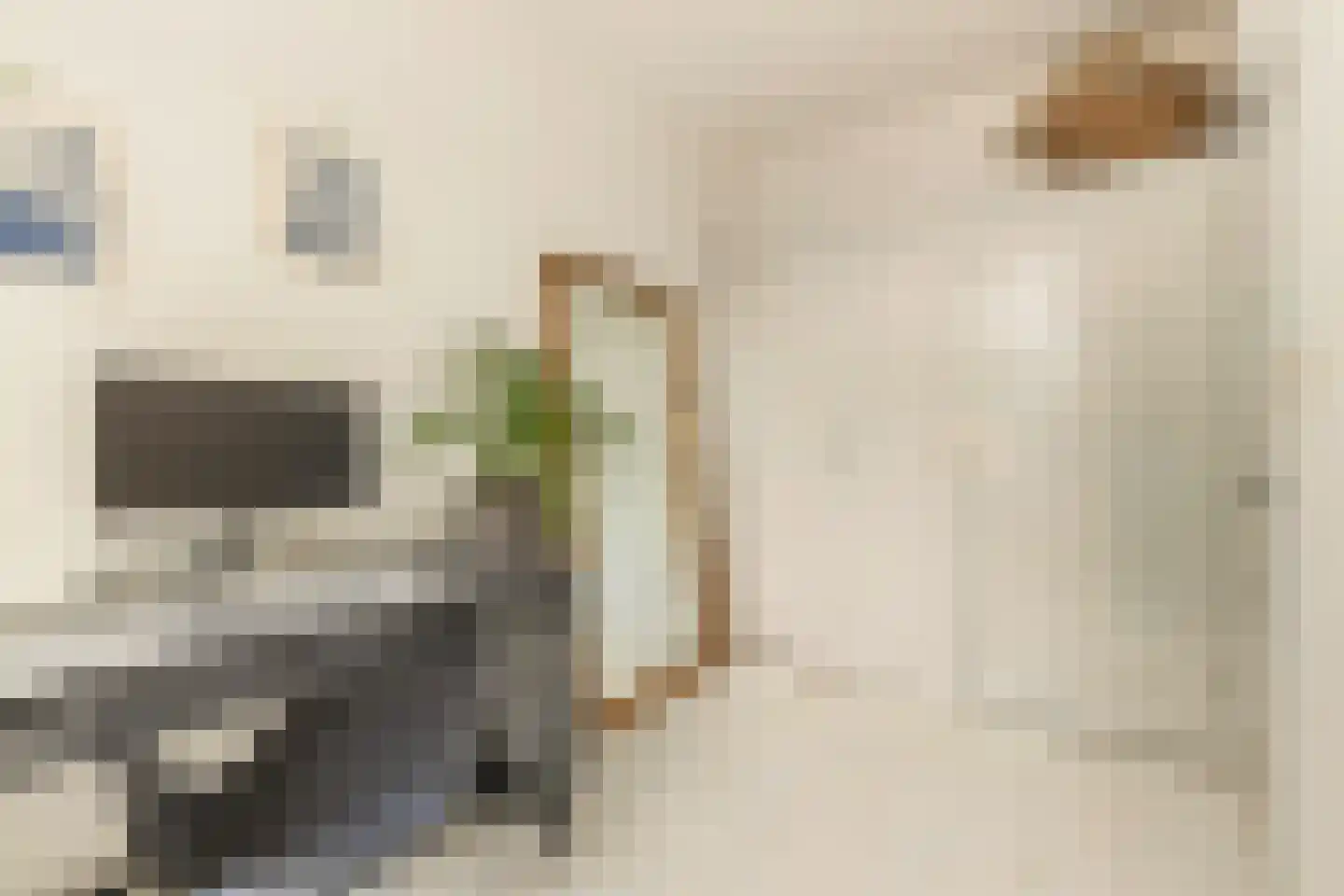 Willem de Zwijgerlaan 50 1 Amsterdam thumbnail 9