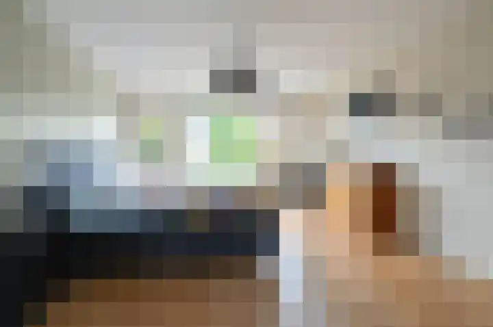 Willem de Zwijgerlaan 51 Soest thumbnail 9