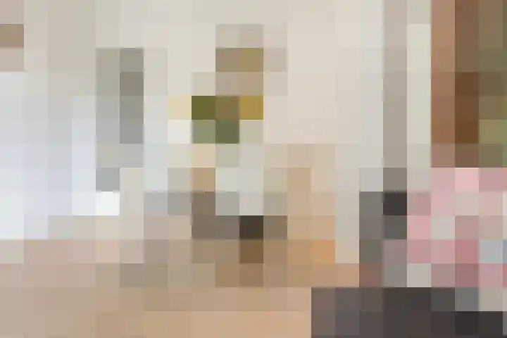 Willem de Zwijgerlaan 52 3 Amsterdam thumbnail 5