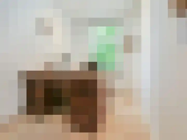 Willem de Zwijgerlaan 52 3 Amsterdam thumbnail 8