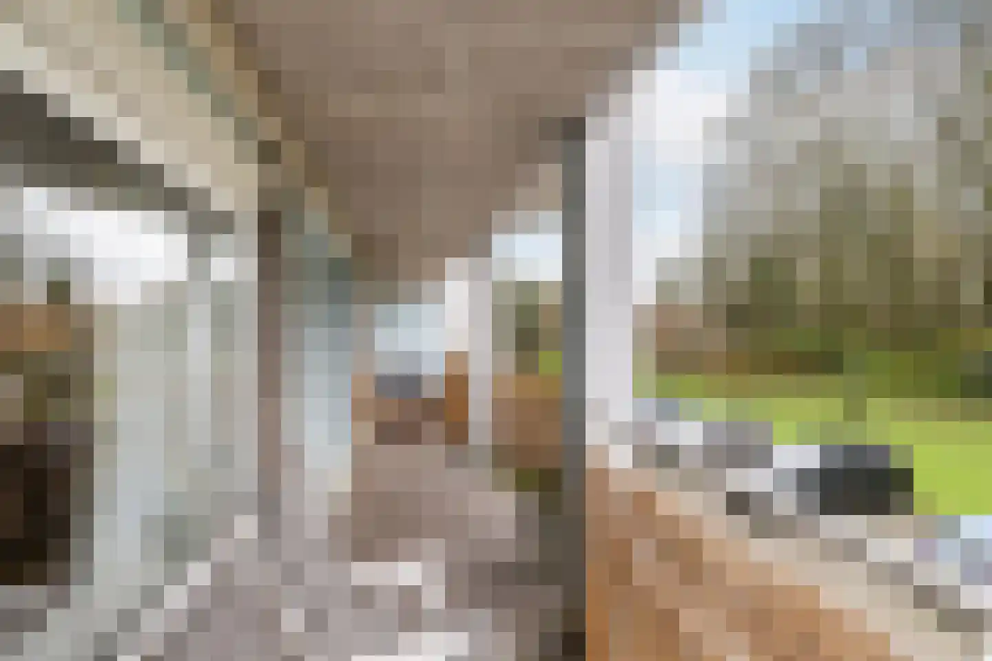 Willem de Zwijgerlaan 53 Schiedam thumbnail 17