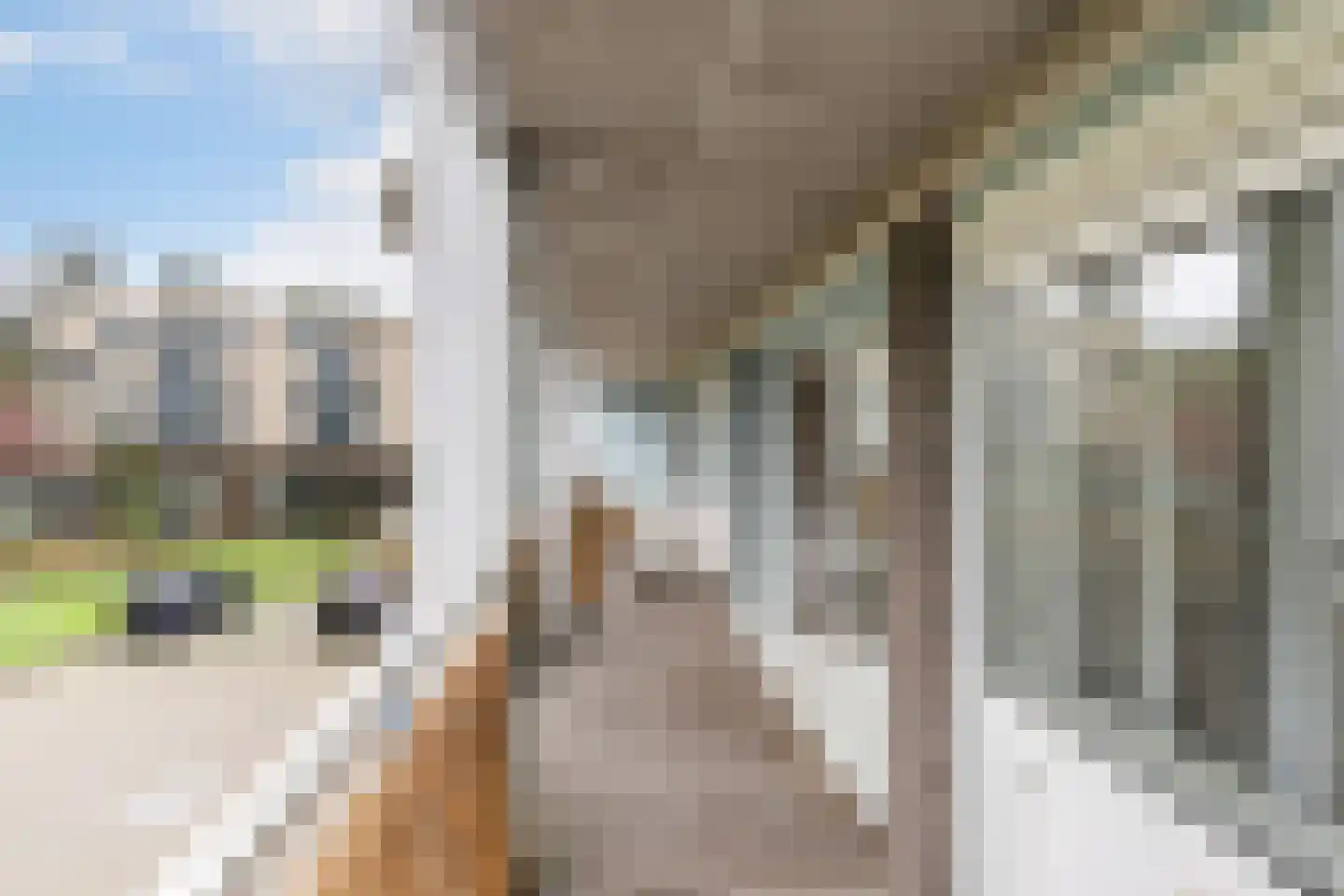 Willem de Zwijgerlaan 53 Schiedam thumbnail 18