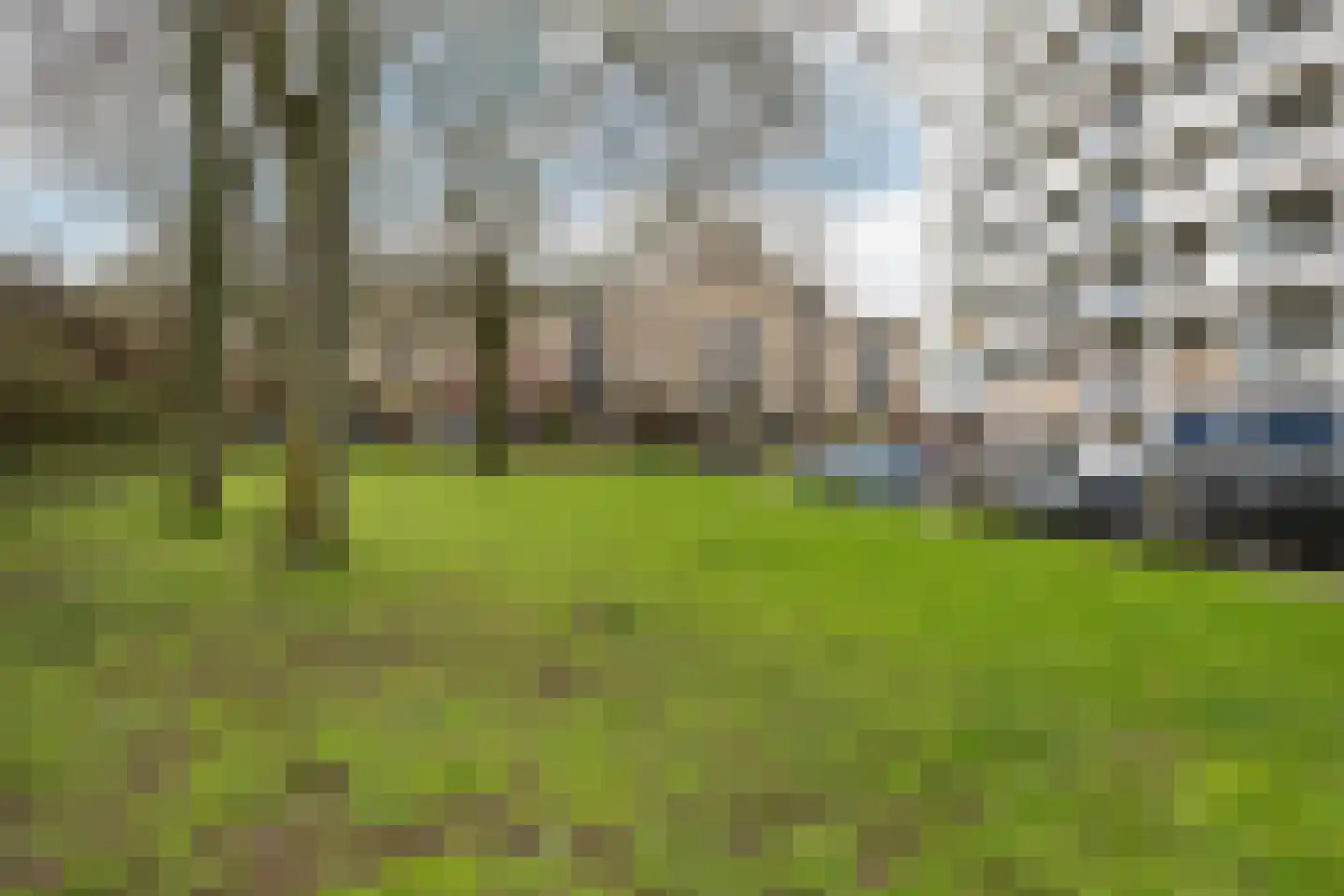 Willem de Zwijgerlaan 53 Schiedam thumbnail 26
