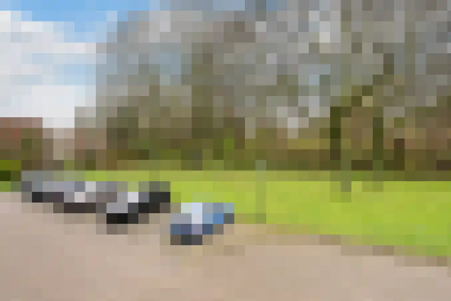 Willem de Zwijgerlaan 53 Schiedam thumbnail 28