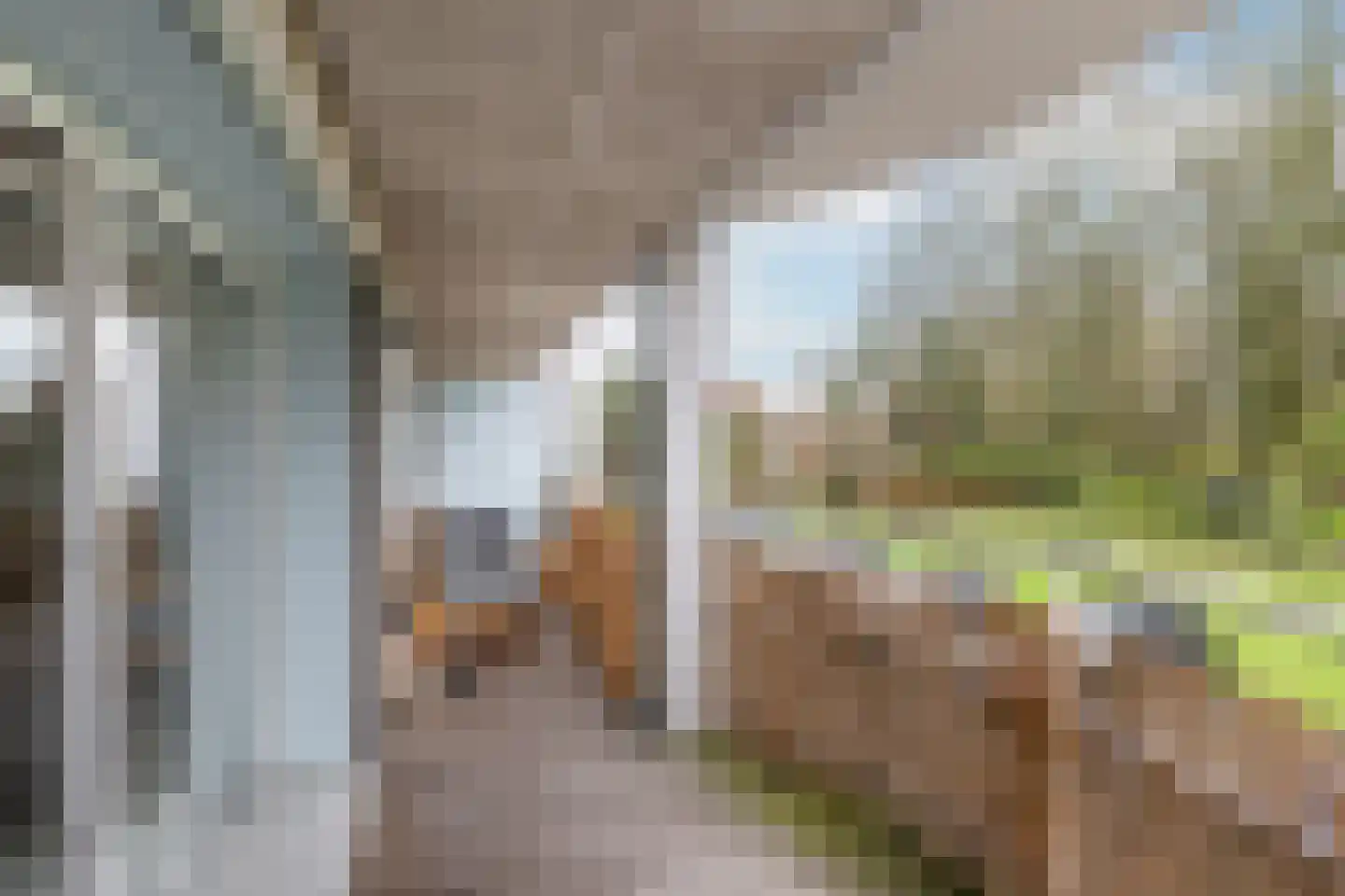 Willem de Zwijgerlaan 53 Schiedam thumbnail 5
