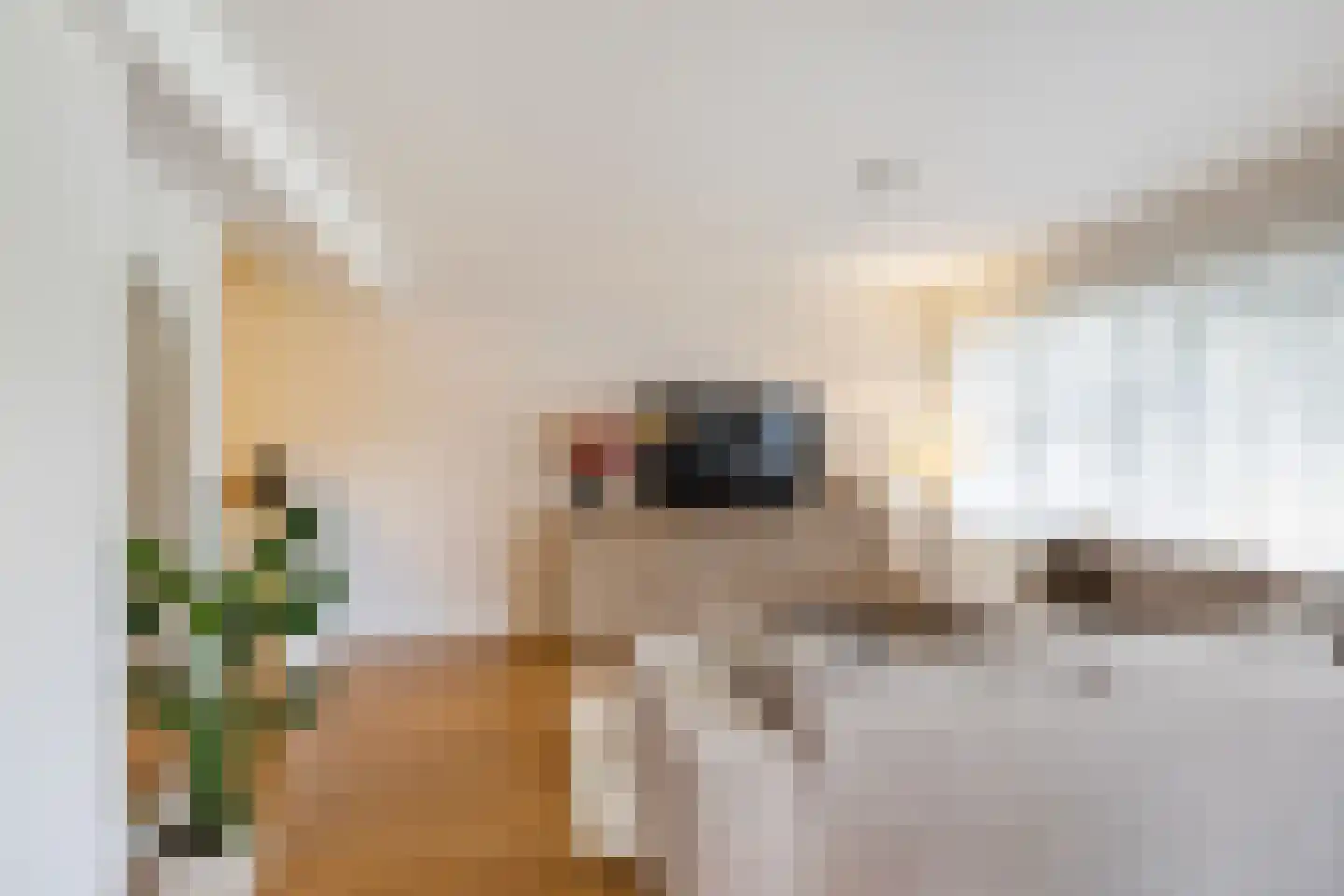 Willem de Zwijgerlaan 53 Schiedam thumbnail 8
