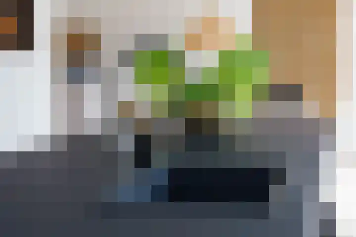 Willem de Zwijgerlaan 54 Leiderdorp thumbnail 20