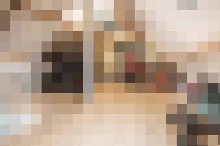 Willem de Zwijgerlaan 54 Leiderdorp thumbnail 42