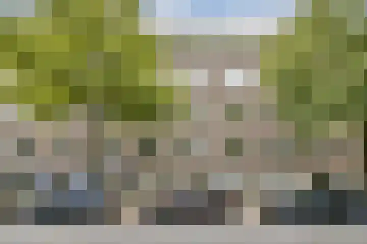 Willem de Zwijgerlaan 55 1 Amsterdam thumbnail 4