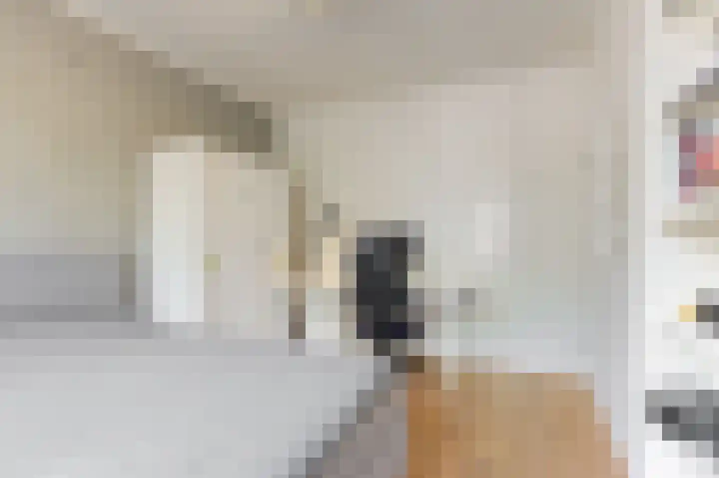 Willem de Zwijgerlaan 56 Alkmaar thumbnail 22