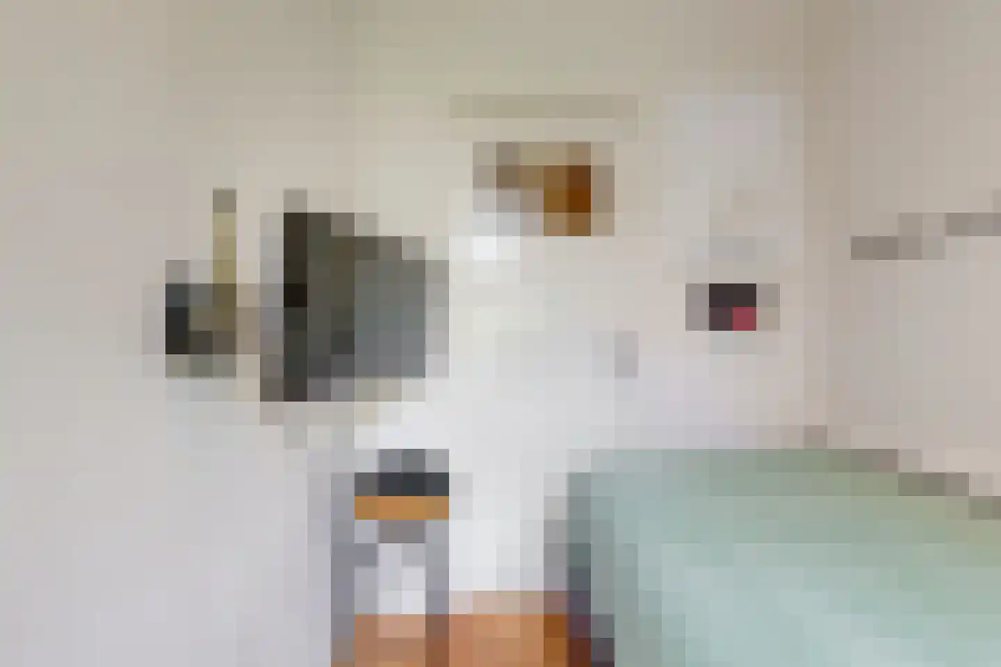 Willem de Zwijgerlaan 56 Alkmaar thumbnail 26