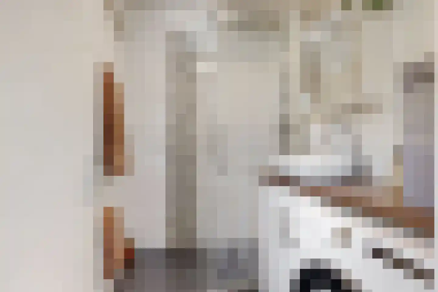 Willem de Zwijgerlaan 56 Alkmaar thumbnail 27
