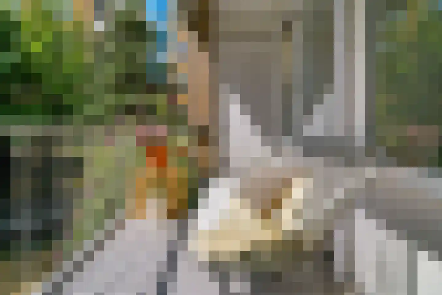 Willem de Zwijgerlaan 56 Alkmaar thumbnail 30