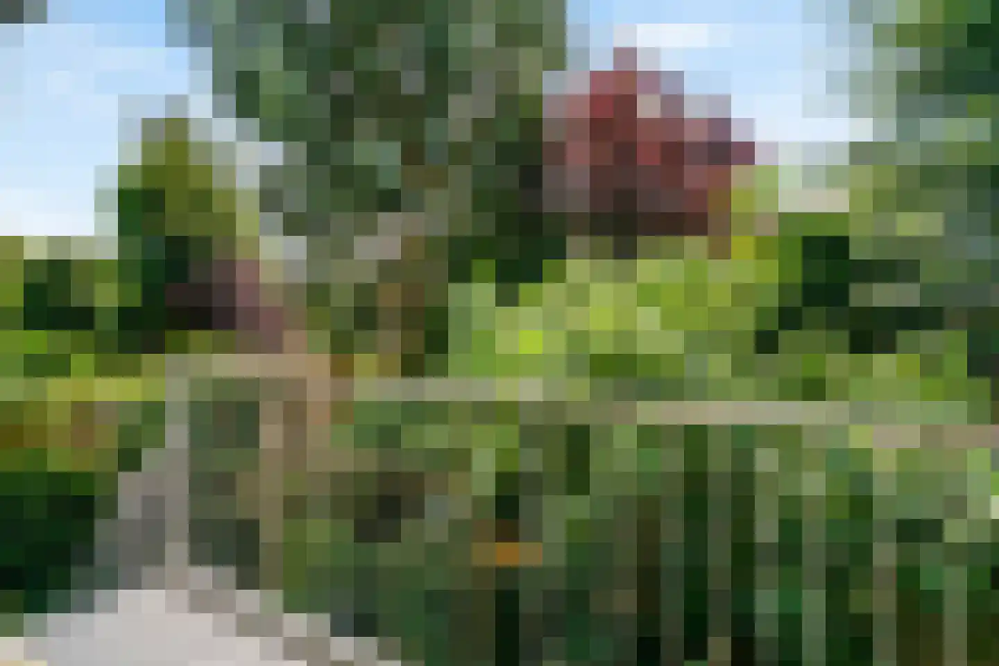 Willem de Zwijgerlaan 56 Alkmaar thumbnail 31