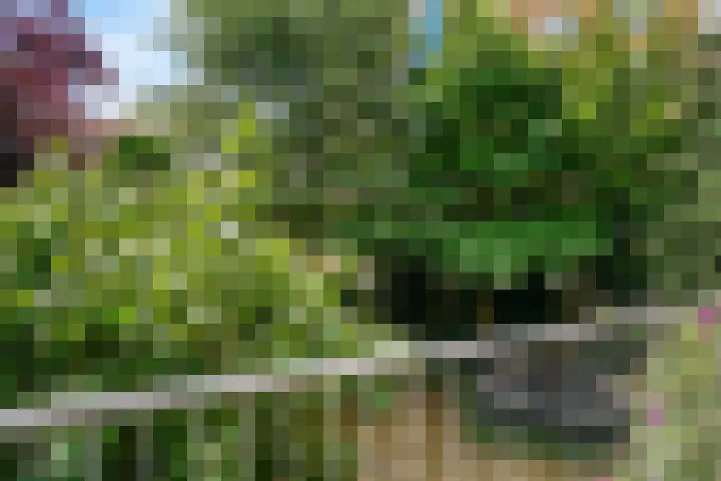 Willem de Zwijgerlaan 56 Alkmaar thumbnail 32