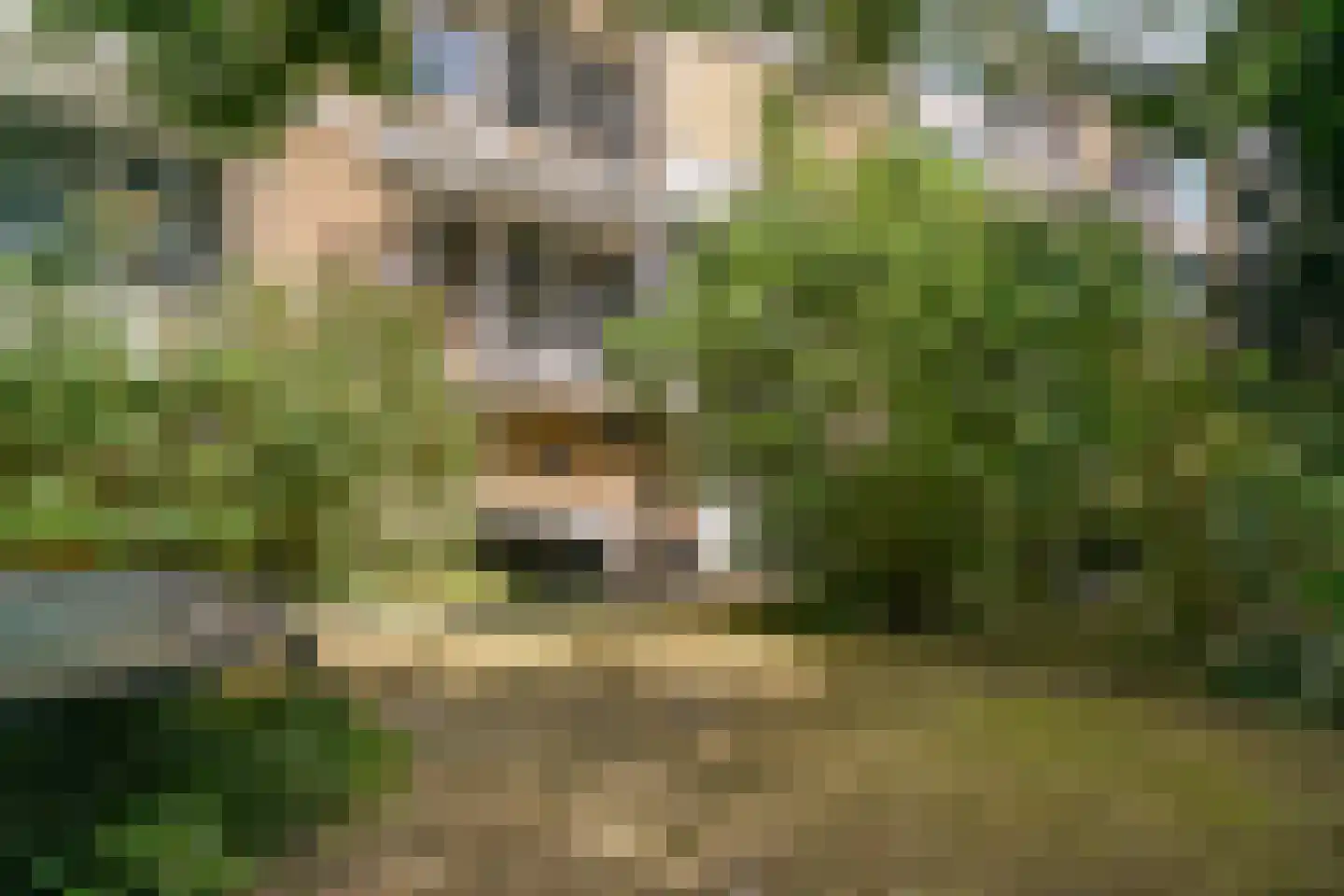 Willem de Zwijgerlaan 56 Alkmaar thumbnail 47
