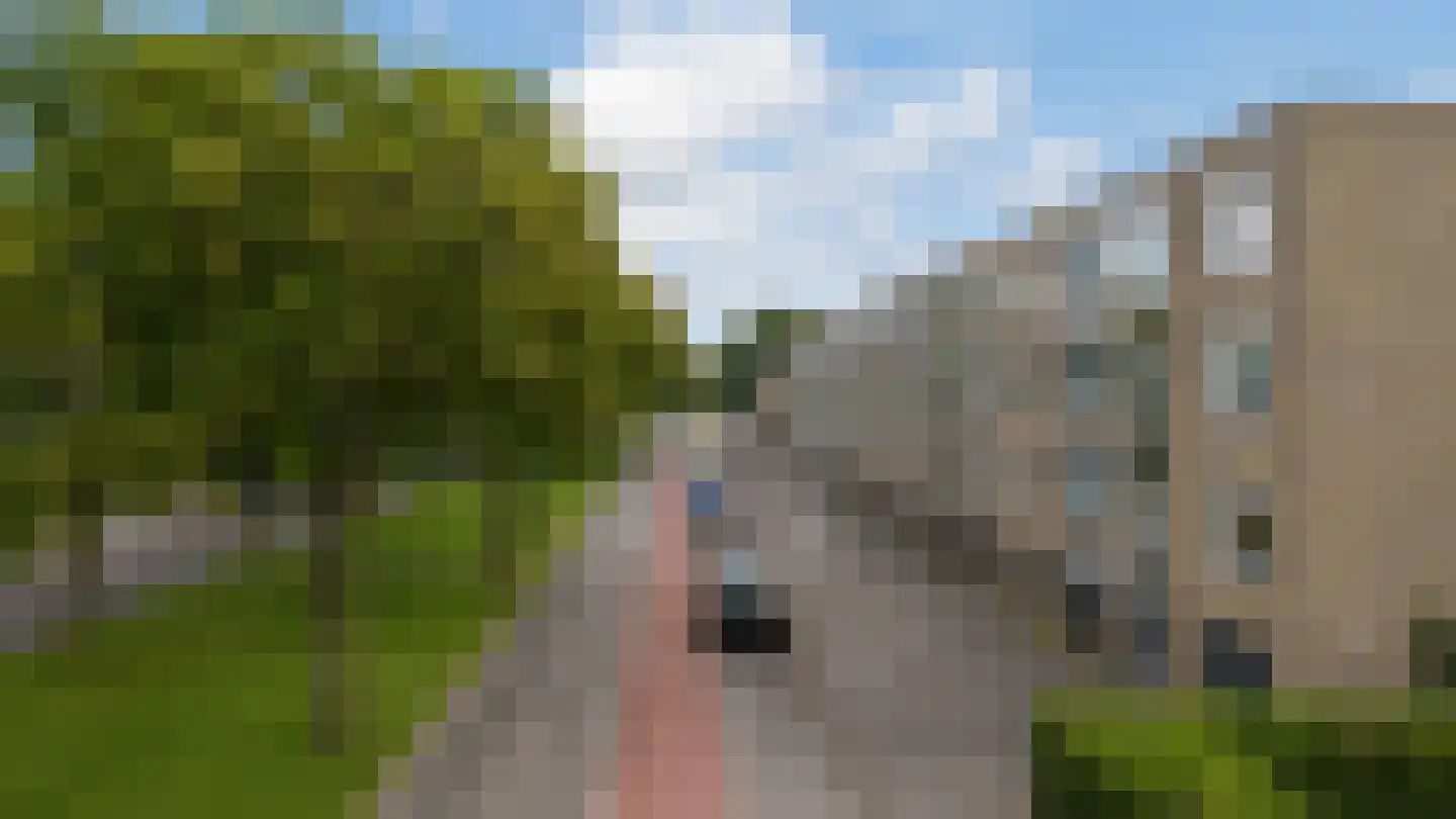 Willem de Zwijgerlaan 56 Alkmaar thumbnail 52