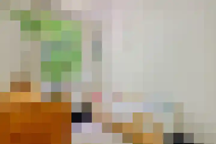 Willem de Zwijgerlaan 58 3 Amsterdam thumbnail 10