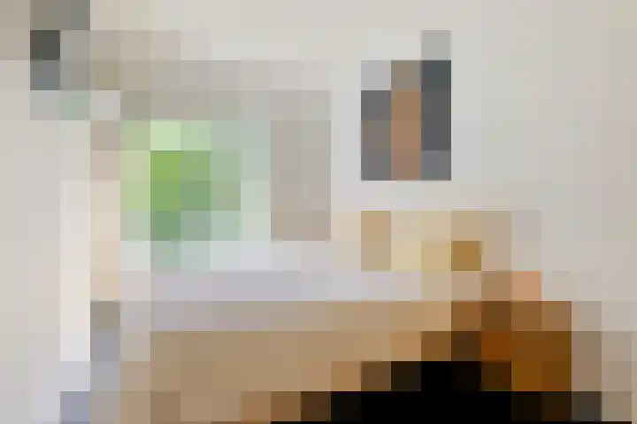 Willem de Zwijgerlaan 58 3 Amsterdam thumbnail 17