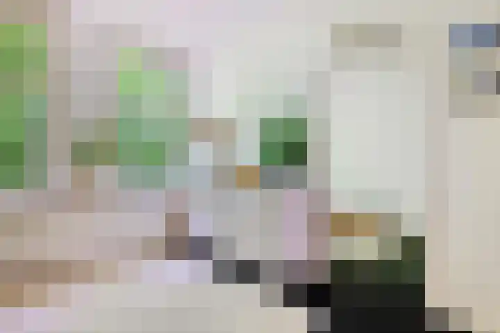 Willem de Zwijgerlaan 58 3 Amsterdam thumbnail 8