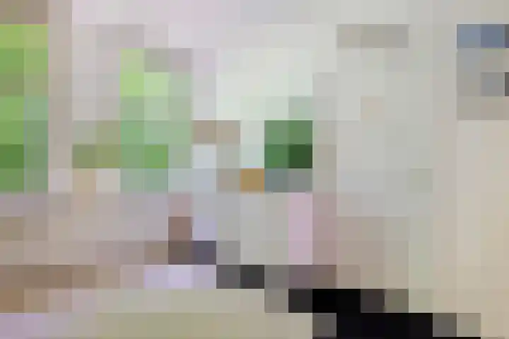 Willem de Zwijgerlaan 58 3 Amsterdam thumbnail 9