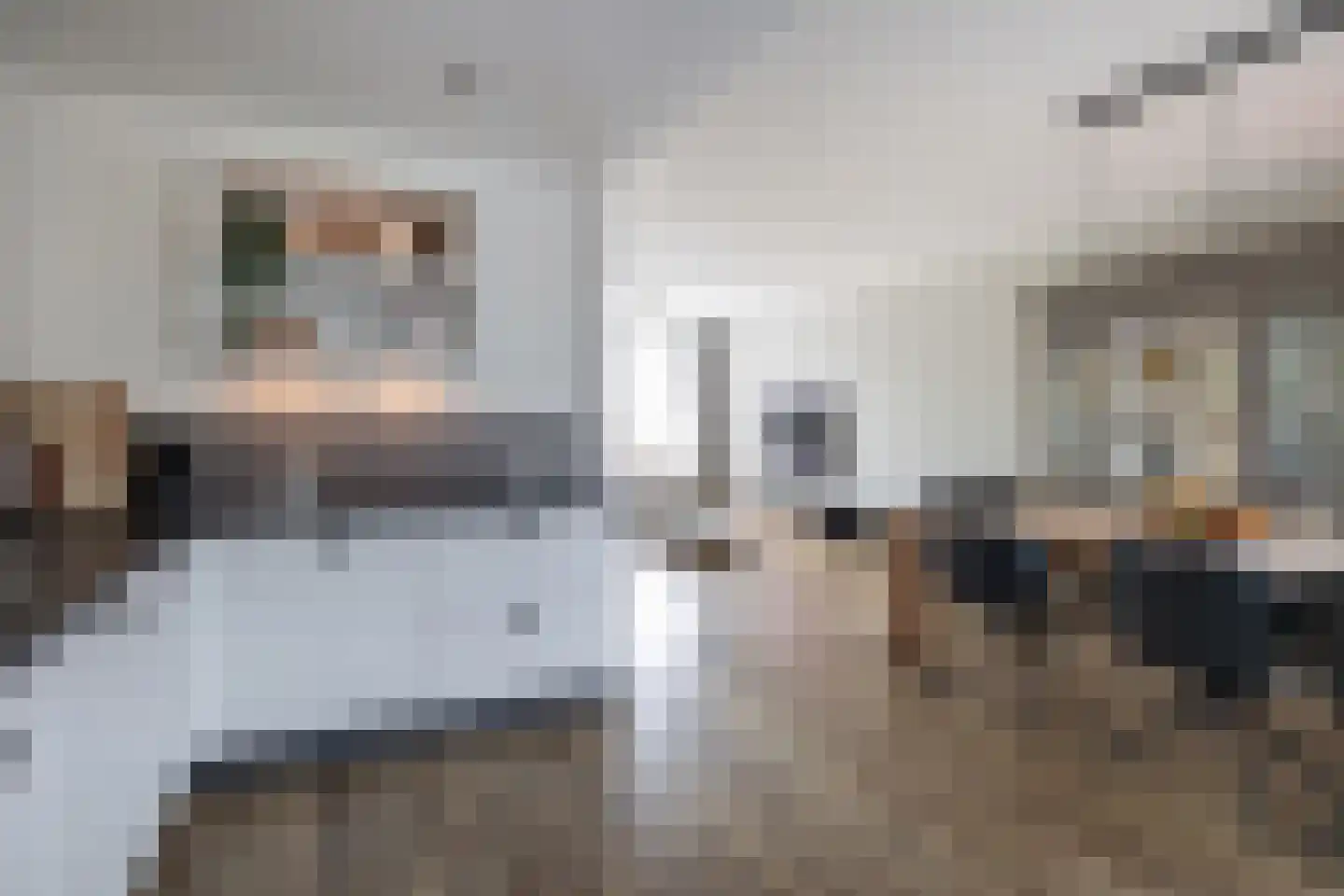 Willem de Zwijgerlaan 58 Kaatsheuvel thumbnail 13