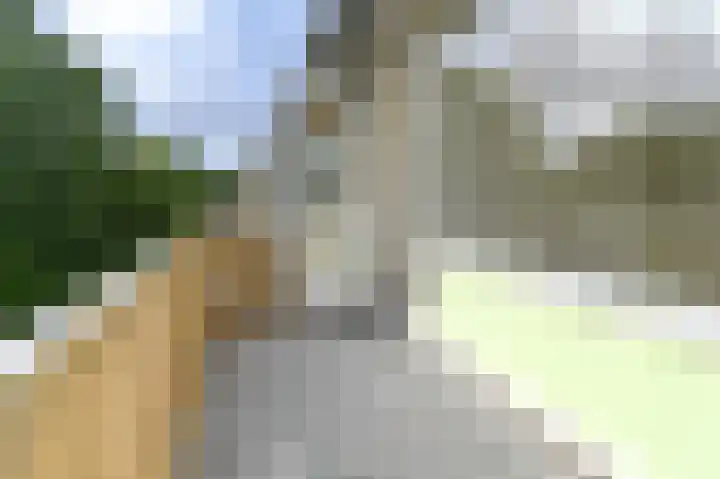 Willem de Zwijgerlaan 58 Overveen thumbnail 20