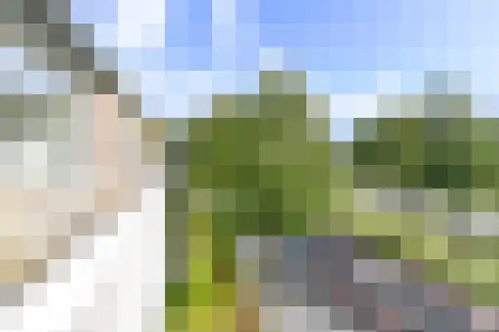 Willem de Zwijgerlaan 58 Overveen thumbnail 21