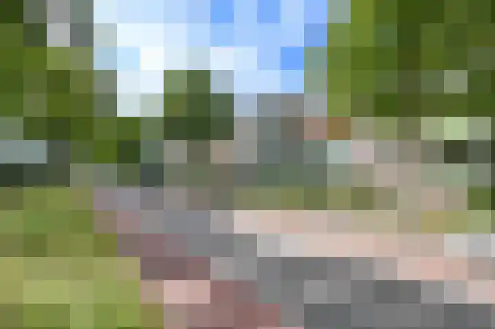 Willem de Zwijgerlaan 58 Overveen thumbnail 26