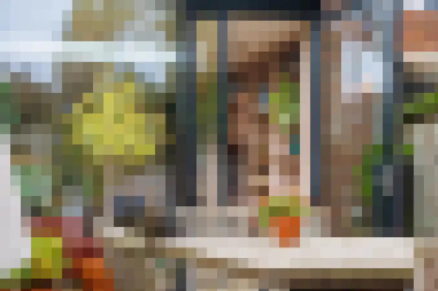 Willem de Zwijgerlaan 58 Voorschoten thumbnail 28