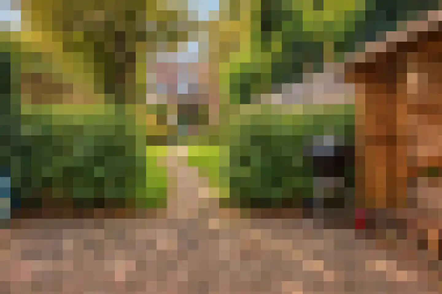 Willem de Zwijgerlaan 58 Voorschoten thumbnail 31