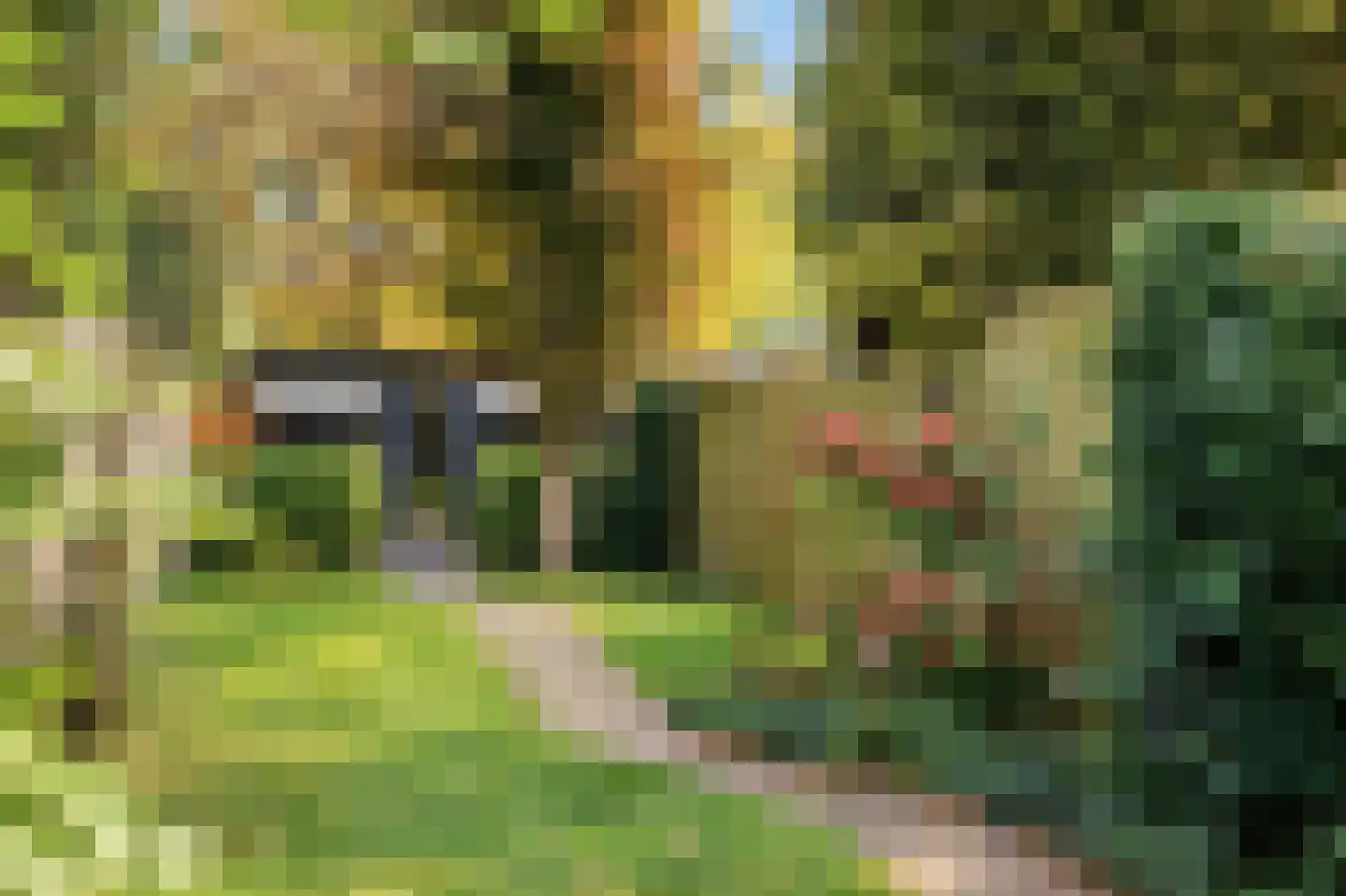 Willem de Zwijgerlaan 58 Voorschoten thumbnail 32