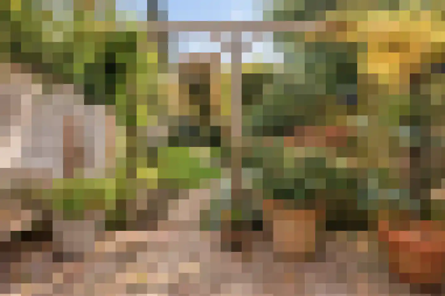 Willem de Zwijgerlaan 58 Voorschoten thumbnail 33