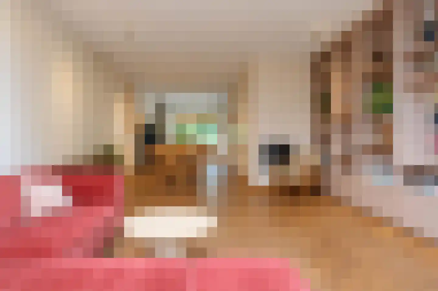 Willem de Zwijgerlaan 58 Voorschoten thumbnail 4