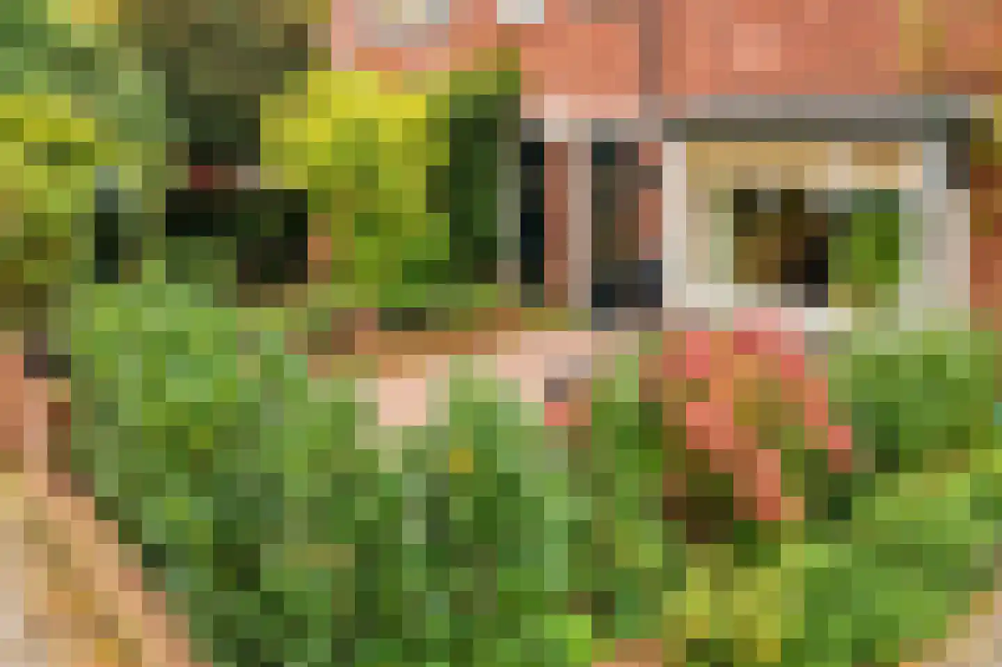 Willem de Zwijgerlaan 58 Voorschoten thumbnail 6